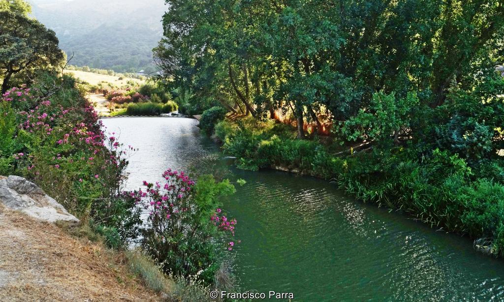 Casa Rural El Nacimiento 베나오얀 외부 사진