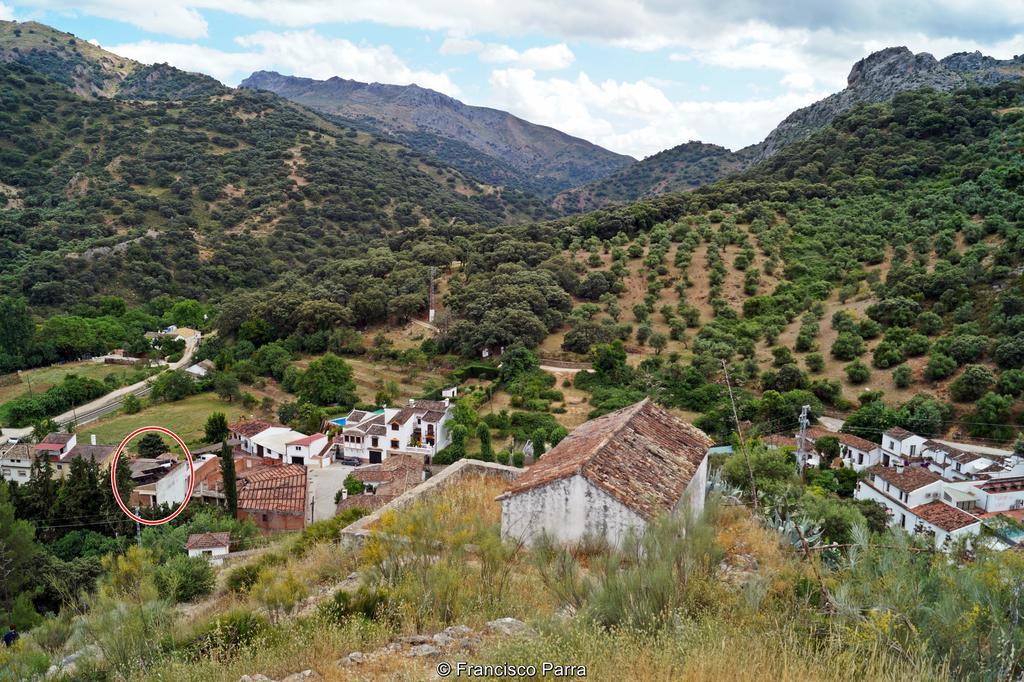 Casa Rural El Nacimiento 베나오얀 외부 사진